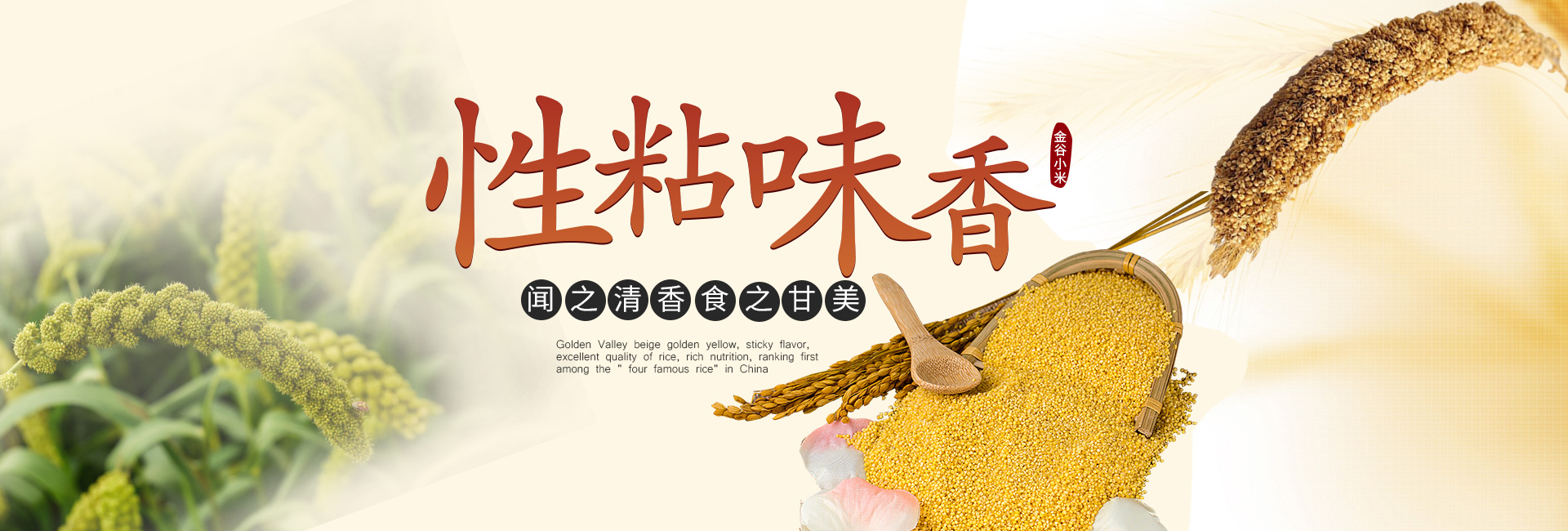 華倫線纜